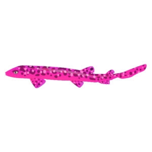 Pink Coral Cat Shark